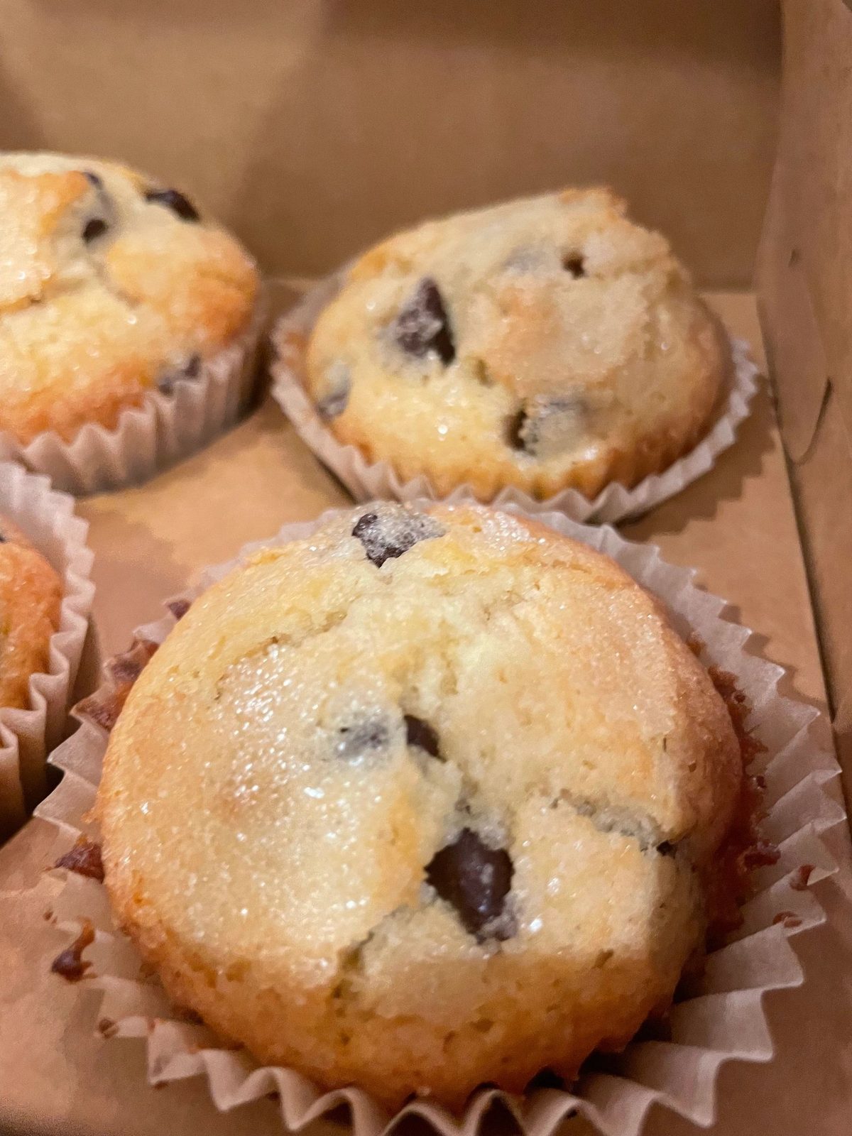 Chocolate chip muffins in a bakery box