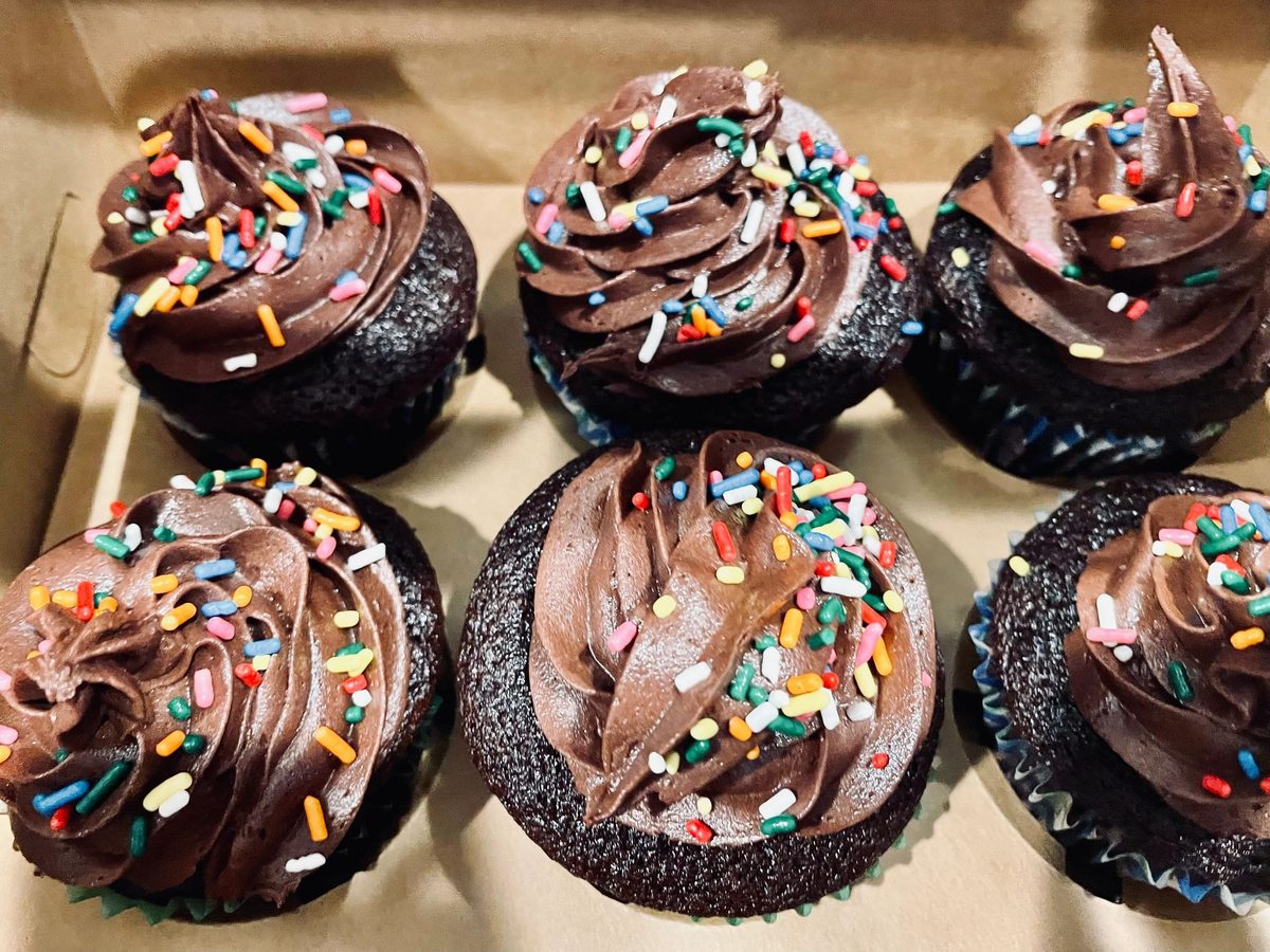 Chocolate cupcakes with chocolate buttercream and sprinkles