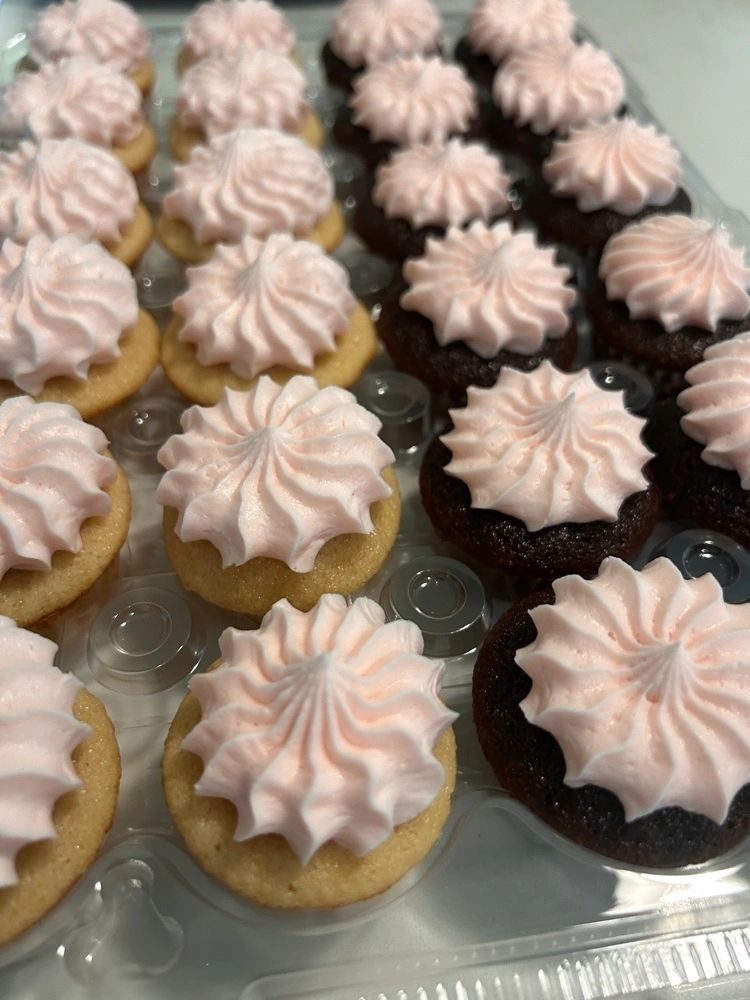 Rows of vanilla and chocolate mini cupcakes with piped frosting